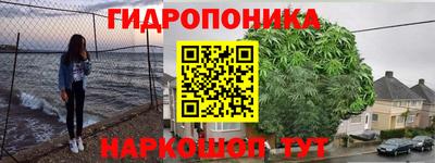 трава Донецк