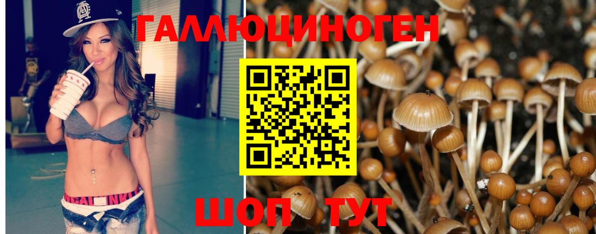 Можайск  Галлюциногенные грибы GOLDEN TEACHER  Вход с VPN 